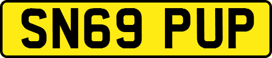 SN69PUP