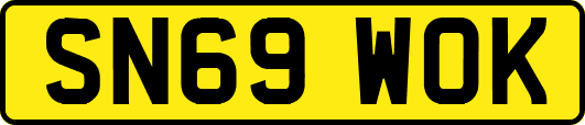 SN69WOK