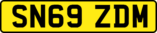 SN69ZDM