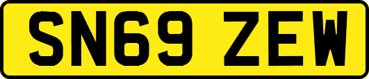 SN69ZEW
