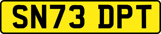 SN73DPT