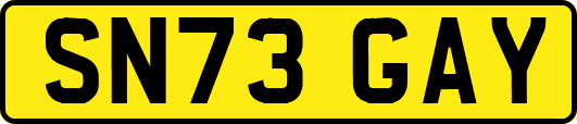 SN73GAY