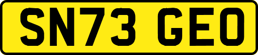 SN73GEO