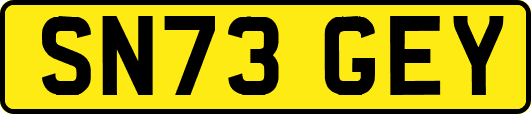 SN73GEY