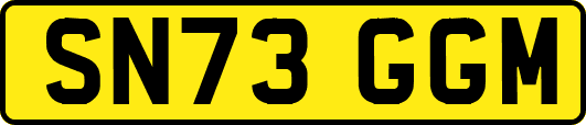 SN73GGM