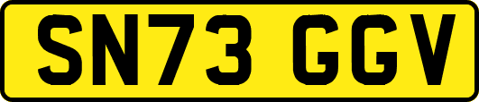 SN73GGV