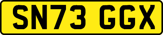 SN73GGX