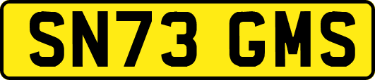 SN73GMS