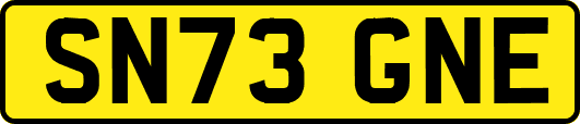 SN73GNE