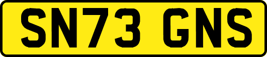 SN73GNS