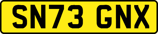 SN73GNX