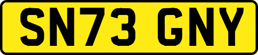 SN73GNY