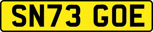 SN73GOE