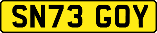 SN73GOY