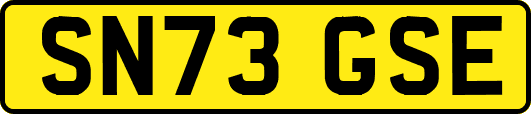 SN73GSE