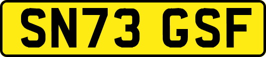 SN73GSF