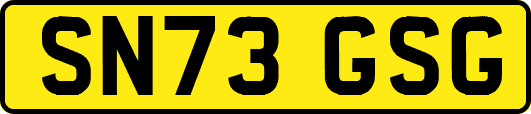 SN73GSG