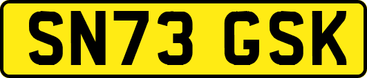 SN73GSK