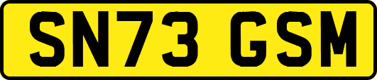 SN73GSM