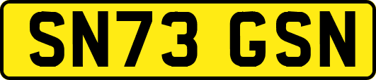 SN73GSN