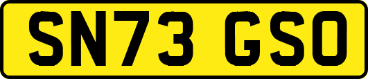 SN73GSO