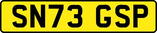 SN73GSP