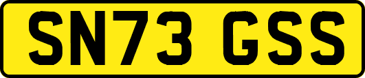 SN73GSS
