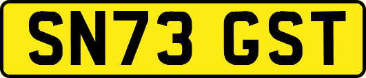 SN73GST