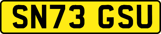 SN73GSU