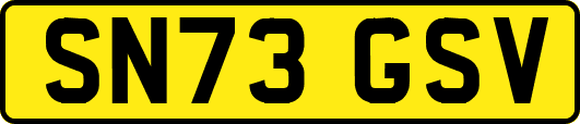 SN73GSV