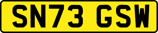 SN73GSW