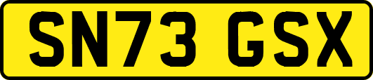 SN73GSX