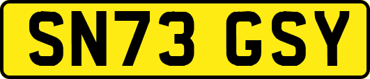 SN73GSY