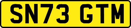 SN73GTM