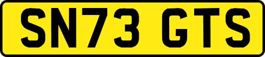 SN73GTS
