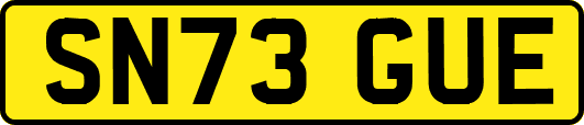 SN73GUE