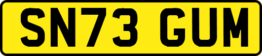 SN73GUM