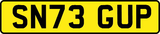 SN73GUP