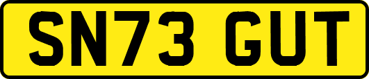 SN73GUT