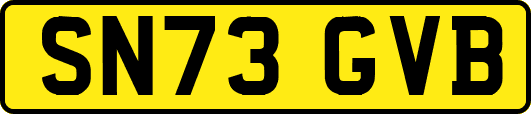 SN73GVB