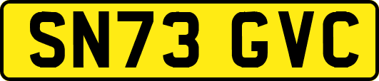 SN73GVC