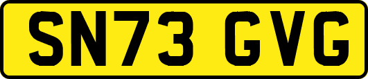 SN73GVG