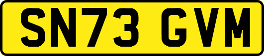 SN73GVM
