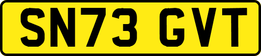 SN73GVT