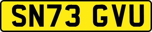 SN73GVU