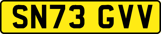 SN73GVV