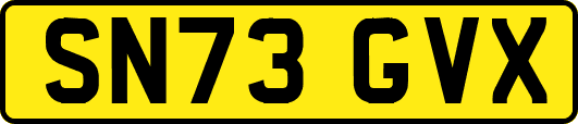 SN73GVX