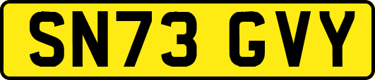 SN73GVY