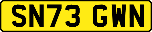 SN73GWN