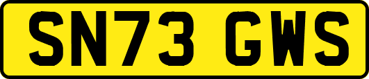 SN73GWS